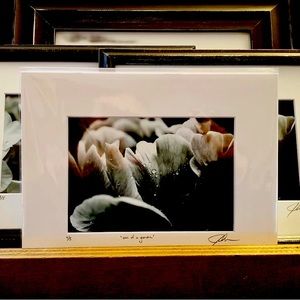 “Soul of a Garden” - limited edition prints - matted, signed and numbered.